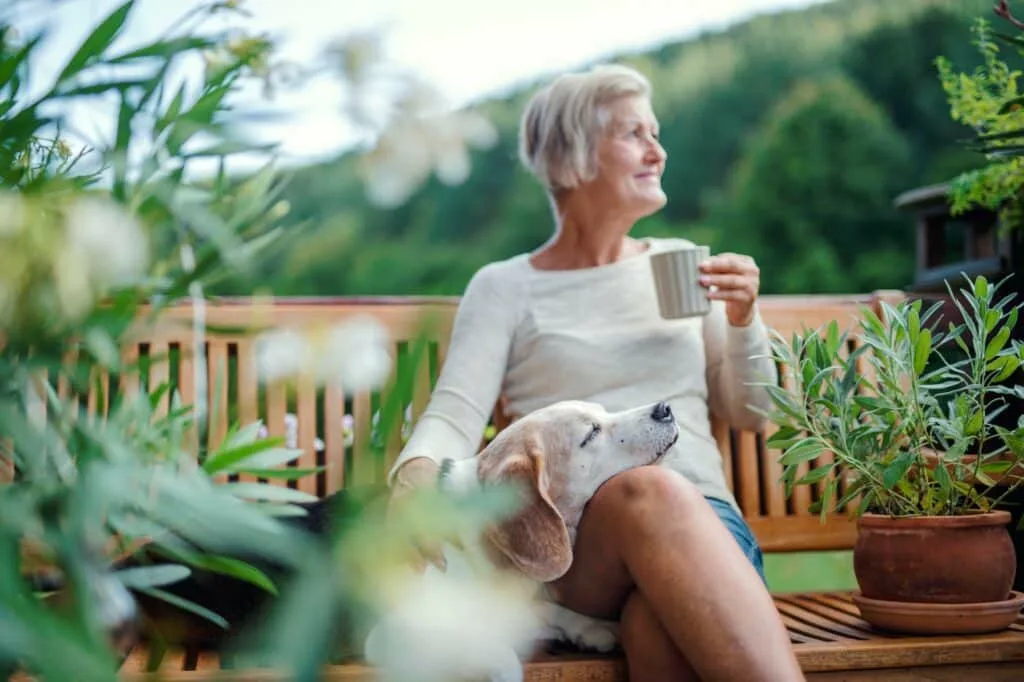 Vascular dementia: Symptoms, causes & diagnosis